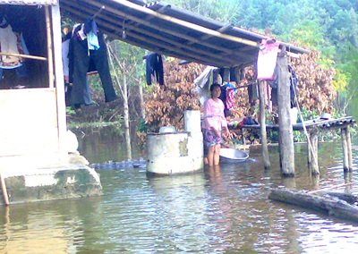 Tiếng kêu cứu từ hồ Ba Cơi  - 4