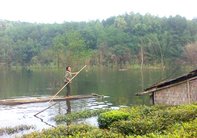 Tiếng kêu cứu từ hồ Ba Cơi  - 5