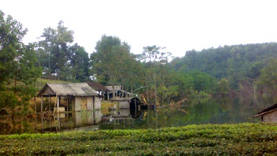 Tiếng kêu cứu từ hồ Ba Cơi  - 6