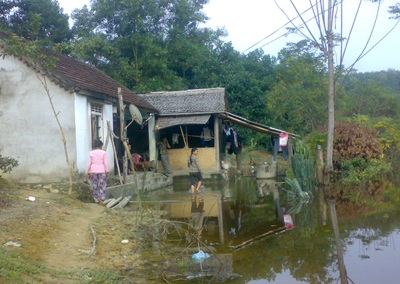 Tiếng kêu cứu từ hồ Ba Cơi  - 7