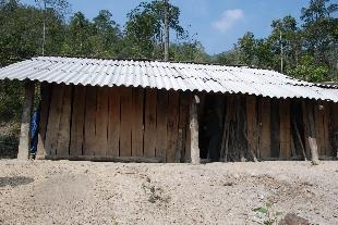 Gia đình “người rừng”  - 1