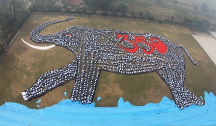 Nghệ thuật sắp đặt vì biến đổi khí hậu - 12