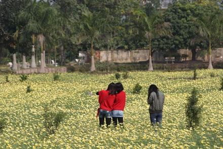 Trồng cải rồi để cho tàn - 8 Trồng cải rồi để cho tàn - 8