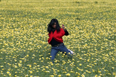 Trồng cải rồi để cho tàn - 10 Trồng cải rồi để cho tàn - 10