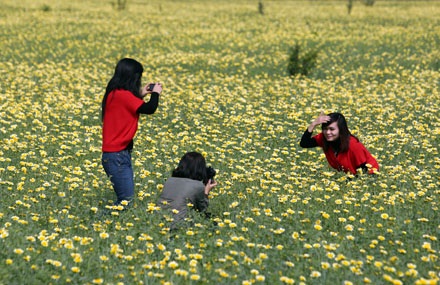 Trồng cải rồi để cho tàn - 11 Trồng cải rồi để cho tàn - 11