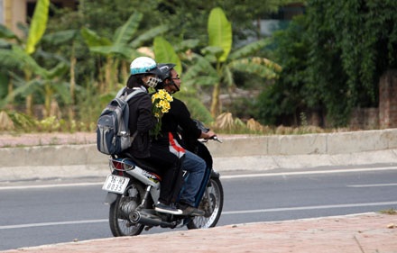 Trồng cải rồi để cho tàn - 12 Trồng cải rồi để cho tàn - 12