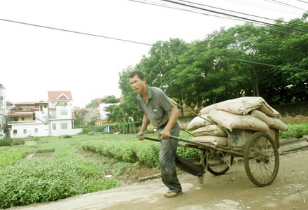 Thôi rồi húng Láng… - 4 Thôi rồi húng Láng… - 4