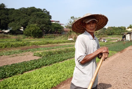 Thôi rồi húng Láng… - 12 Thôi rồi húng Láng… - 12
