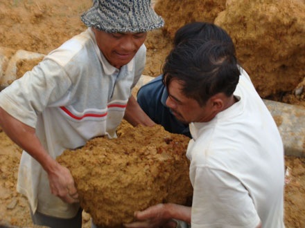Đổ xô đi đào đá tổ ong bên chân núi Ngự Bình - 4 Đổ xô đi đào đá tổ ong bên chân núi Ngự Bình - 4