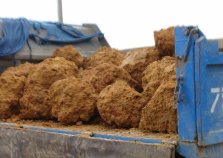 Đổ xô đi đào đá tổ ong bên chân núi Ngự Bình - 5 Đổ xô đi đào đá tổ ong bên chân núi Ngự Bình - 5