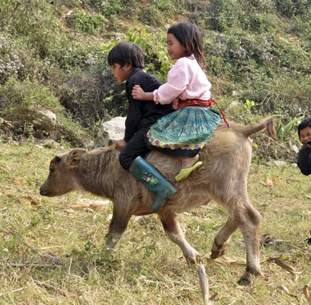 Thú vui ... thót tim của những đứa trẻ vùng cao - 3