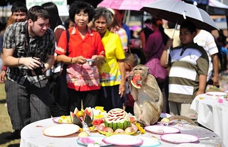 Thái Lan mở tiệc thết đãi... khỉ - 3