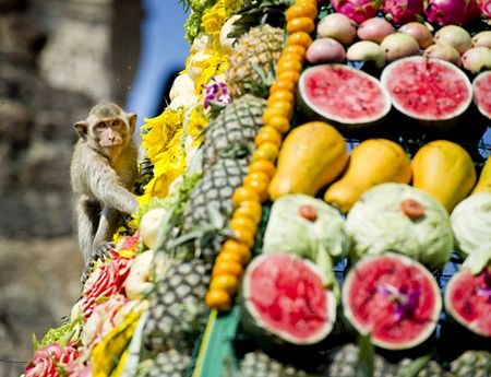 Thái Lan mở tiệc thết đãi... khỉ - 8