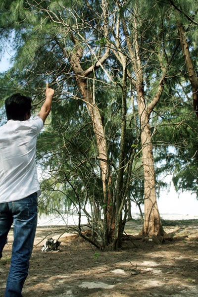 Cả thôn hoang mang vì sợ trăn trả thù - 1 Cả thôn hoang mang vì sợ trăn trả thù - 1