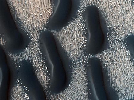 Những hình ảnh ấn tượng trong tuần  - 3