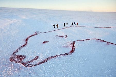 Những hình ảnh ấn tượng trong tuần  - 6