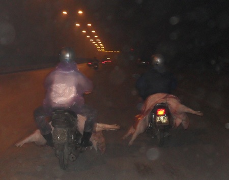 Đóng lò mổ Thịnh Liệt, lò tự phát ra sức hoành hành - 2