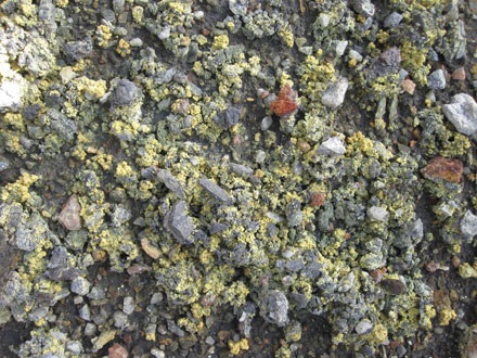 Những hiện tượng khác thường ở một ngôi làng tái định cư - 3