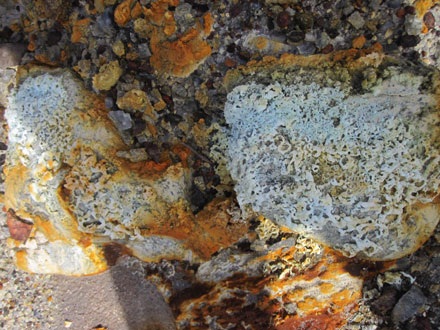 Những hiện tượng khác thường ở một ngôi làng tái định cư - 6