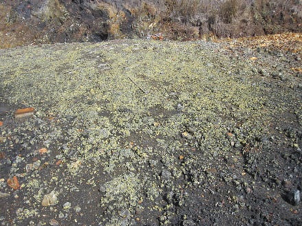 Những hiện tượng khác thường ở một ngôi làng tái định cư - 8