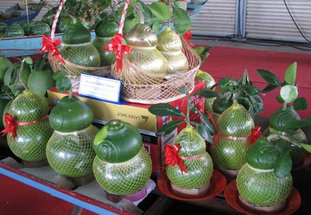 Ngỡ ngàng trước những động thực vật quý hiếm, khác lạ - 1 Ngỡ ngàng trước những động thực vật quý hiếm, khác lạ - 1