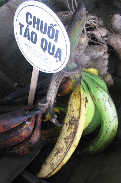 Ngỡ ngàng trước những động thực vật quý hiếm, khác lạ - 3 Ngỡ ngàng trước những động thực vật quý hiếm, khác lạ - 3