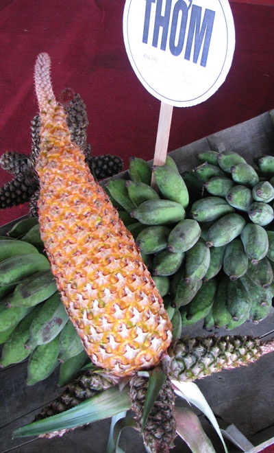 Ngỡ ngàng trước những động thực vật quý hiếm, khác lạ - 4 Ngỡ ngàng trước những động thực vật quý hiếm, khác lạ - 4