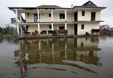 Trận lụt lịch sử càn quét vùng Balkan - 1