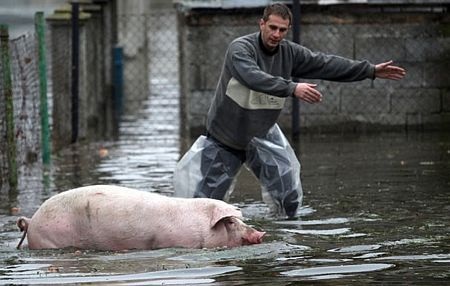Trận lụt lịch sử càn quét vùng Balkan - 15