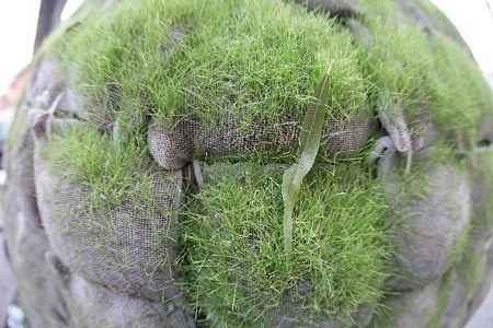 Ngôi nhà hình quả trứng trên đường phố Bắc Kinh - 9