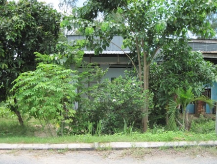 Bé Nhân Nghĩa thăm “nhà” Dân trí - 3