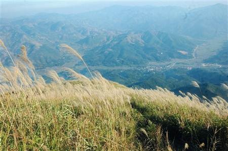 Ngất ngây cánh đồng lau trên đỉnh Pú Bút - Điện Biên - 14