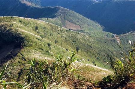 Ngất ngây cánh đồng lau trên đỉnh Pú Bút - Điện Biên - 16