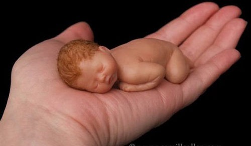 “Bé sơ sinh” nằm trong lòng bàn tay - 9