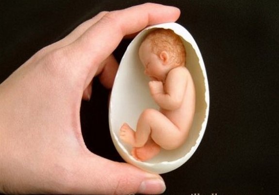 “Bé sơ sinh” nằm trong lòng bàn tay - 5