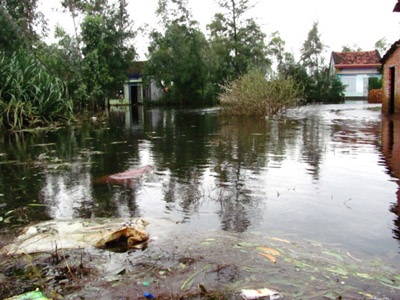 Ngập lụt kéo dài, bệnh tật “rình rập” người dân - 1