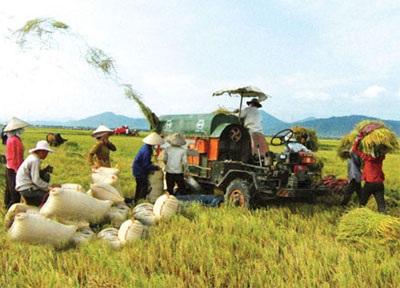 Tìm hướng phát triển kinh tế nông nghiệp - nông thôn - 1 Tìm hướng phát triển kinh tế nông nghiệp - nông thôn - 1