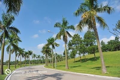 Giải mã “cơn sốt” biệt thự nghỉ dưỡng - 5