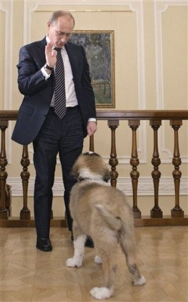 Putin chọn tên của “sát thủ ma cà rồng” cho cún cưng - 4 Putin chọn tên của “sát thủ ma cà rồng” cho cún cưng - 4