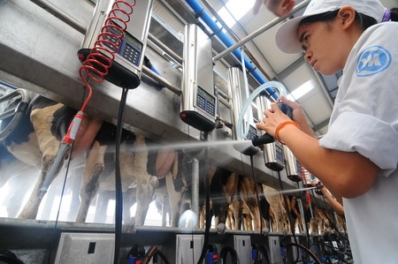 Vinamilk tiếp tục tăng hỗ trợ thu mua sữa bò tươi nguyên liệu  - 1 Vinamilk tiếp tục tăng hỗ trợ thu mua sữa bò tươi nguyên liệu  - 1