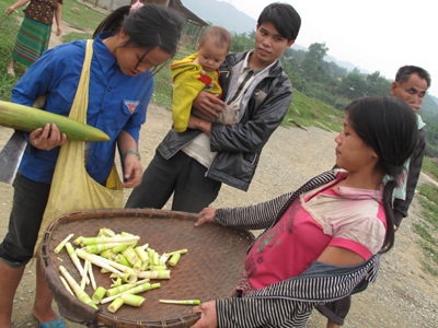 Hàng trăm người dân bỏ khu tái định cư về quê cũ - 1
