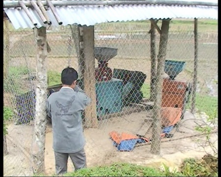 Quảng Ngãi: Nhiều nông cụ của Chương trình 30a sắp thành sắt vụn - 1