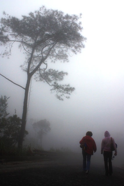 Bà Nà huyền ảo trong sương - 9