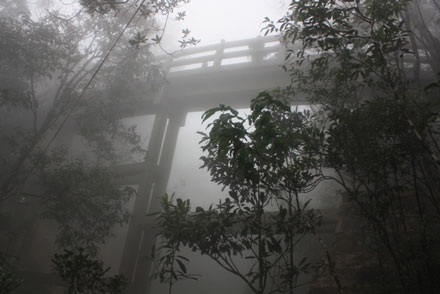 Bà Nà huyền ảo trong sương - 11