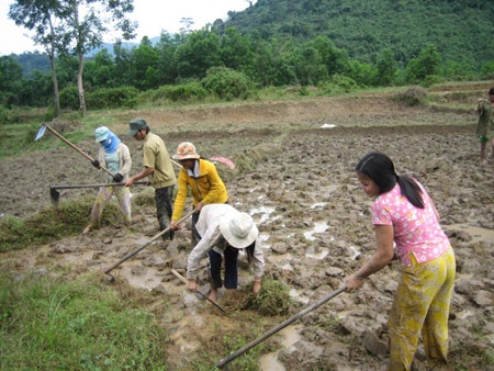 Quảng Ngãi: Nhiều nông cụ của Chương trình 30a sắp thành sắt vụn - 2 Quảng Ngãi: Nhiều nông cụ của Chương trình 30a sắp thành sắt vụn - 2