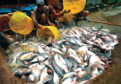 Hội nghề cá yêu cầu WWF 6 nước Châu Âu phải xin lỗi - 1 Hội nghề cá yêu cầu WWF 6 nước Châu Âu phải xin lỗi - 1