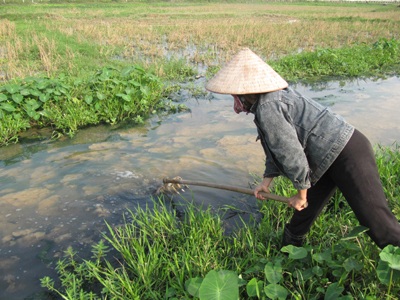 Sabeco Sông Lam "đầu độc" môi trường: Lúng túng đòi bồi thường - 1 Sabeco Sông Lam "đầu độc" môi trường: Lúng túng đòi bồi thường - 1