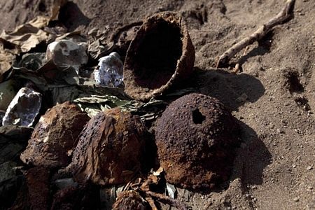 Thủ tướng Nhật thăm đảo “ma”  - 14