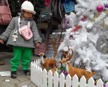 Hà Nội “khoác áo” Noel - 5