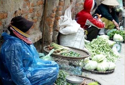 Mùa đông này miền Bắc chịu nhiều đợt rét đậm - 1 Mùa đông này miền Bắc chịu nhiều đợt rét đậm - 1